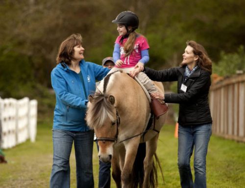 Study Backs Therapeutic Effects of Horseback Riding Interventions